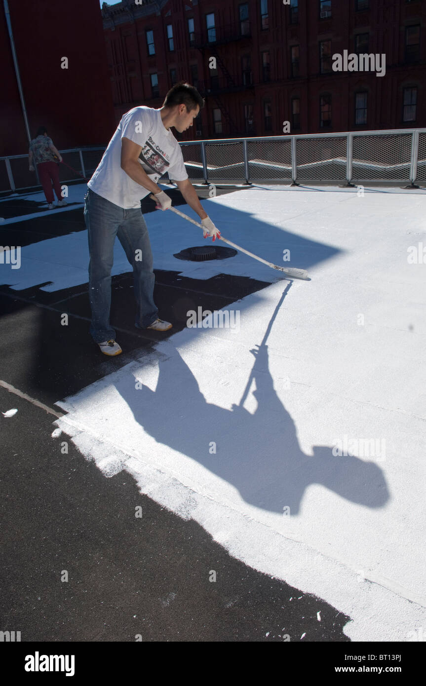 Volontari dipingere una scuola coolroof in Harlem in New York Foto Stock