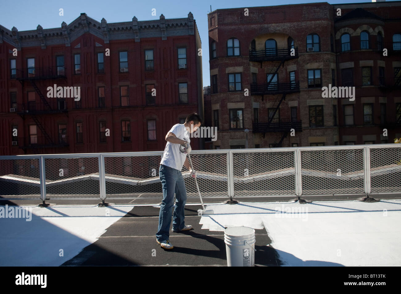 Volontari dipingere una scuola coolroof in Harlem in New York Foto Stock