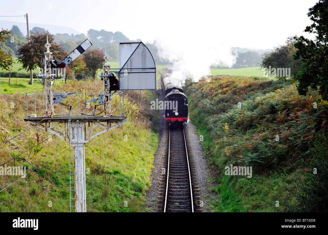 Treno a vapore che si avvicinano ad un segnale sul gantry le conserve di swanage linea ferroviaria Foto Stock