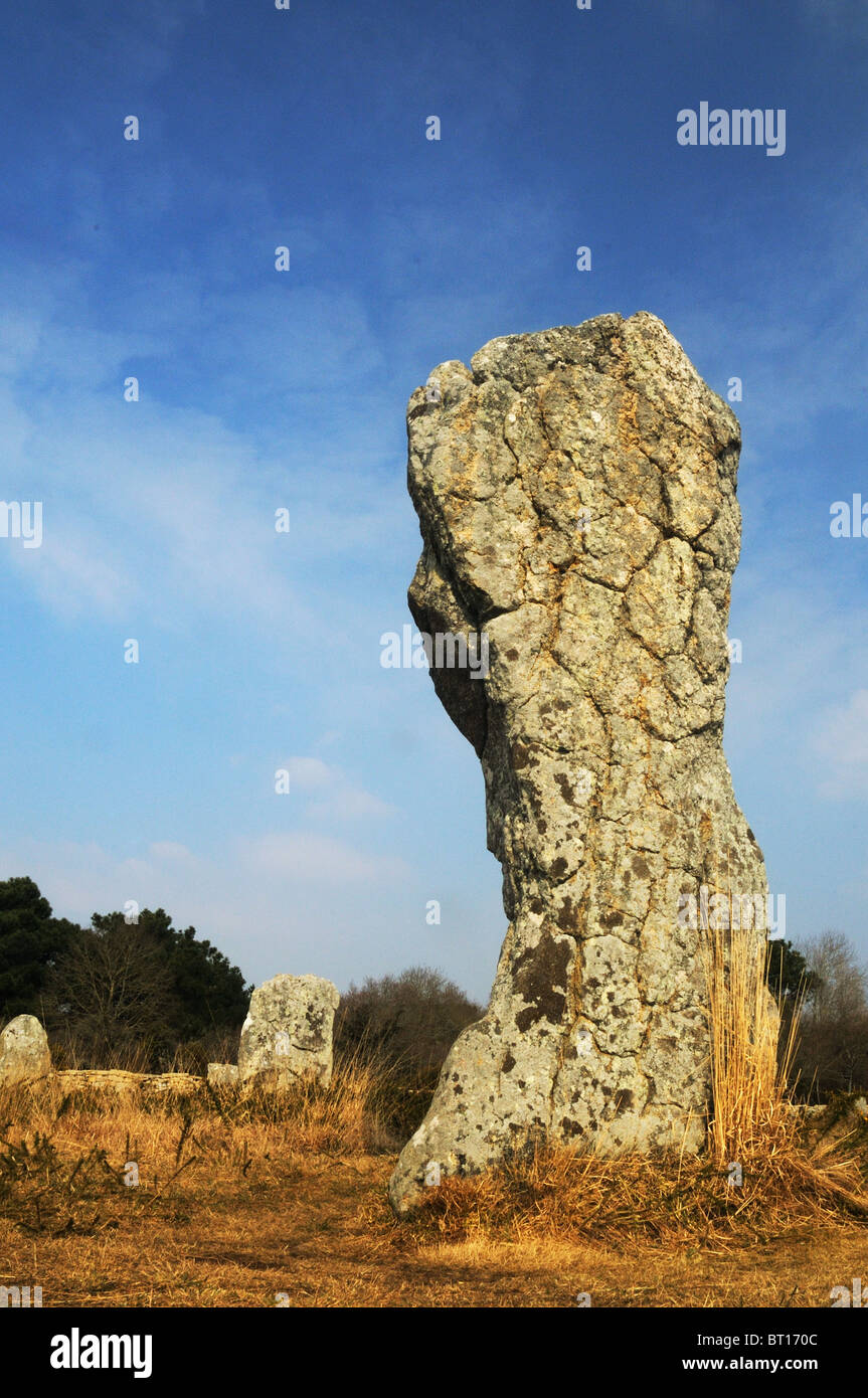 Una delle pietre permanente a Carnac sito preistorico Foto Stock