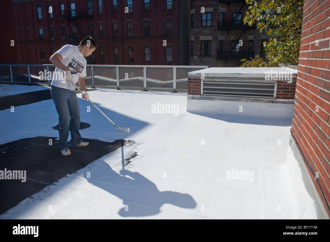 Volontari dipingere una scuola coolroof in Harlem in New York Foto Stock