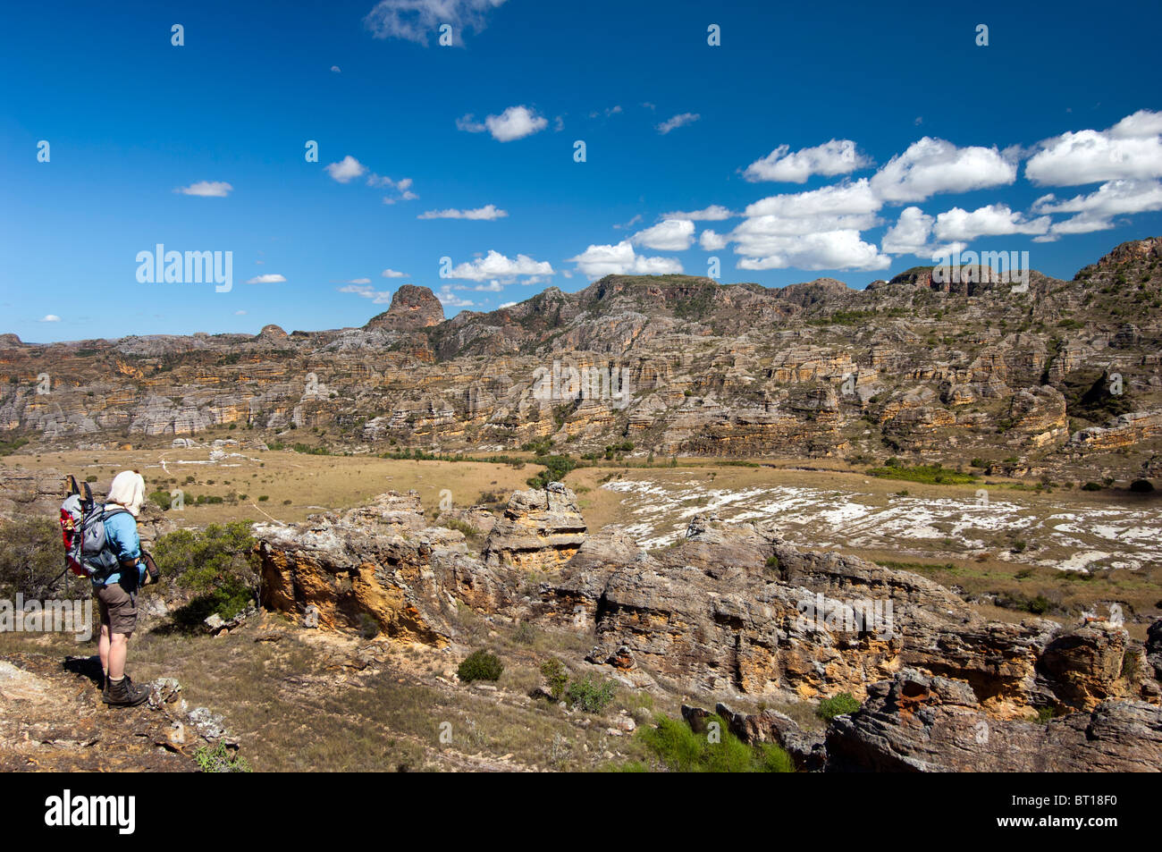 Madagascar Madagascar africa paesaggio ampio terreno sun sunny luminosa pietra rock tree viaggio avventura di viaggio a piedi camminando Foto Stock