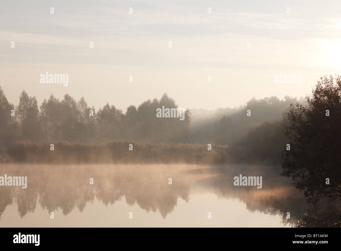 Autunno nebbiosa mattina presso lo stagno Foto Stock