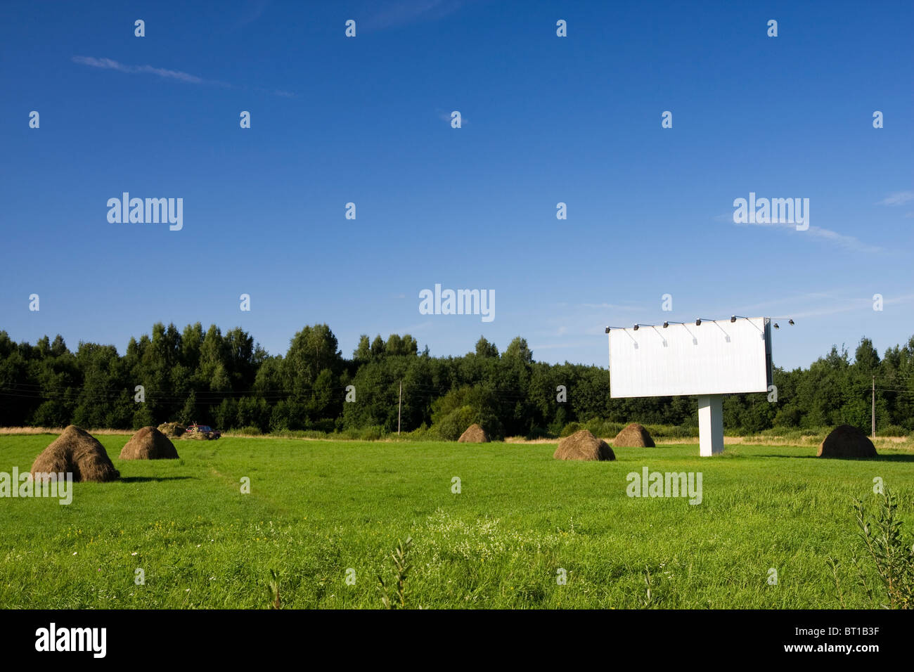Tabellone vuoto in un campo Foto Stock
