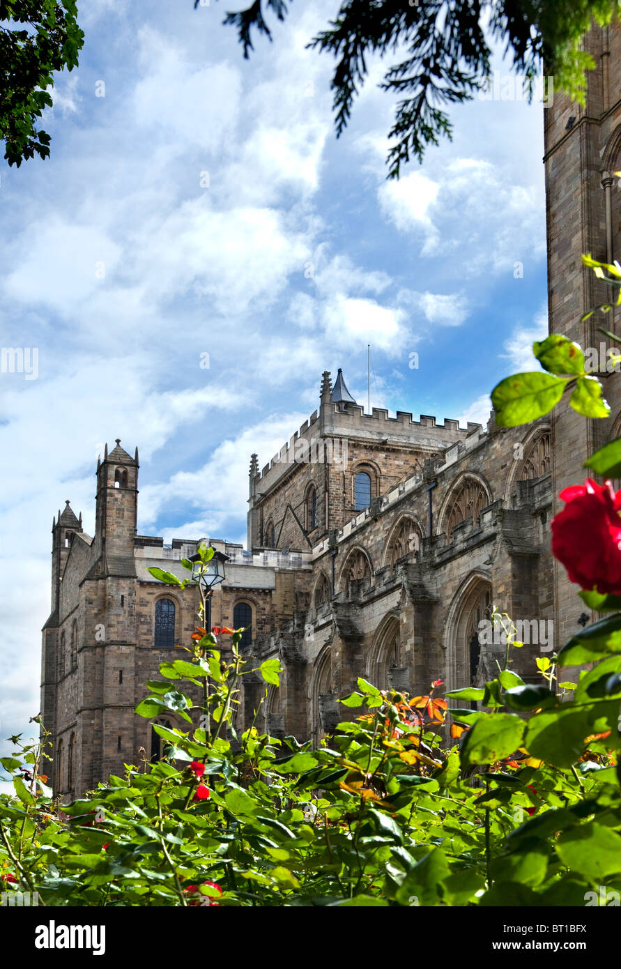 Nella cattedrale di Ripon, North Yorkshire, Inghilterra, Regno Unito, GB. Foto Stock