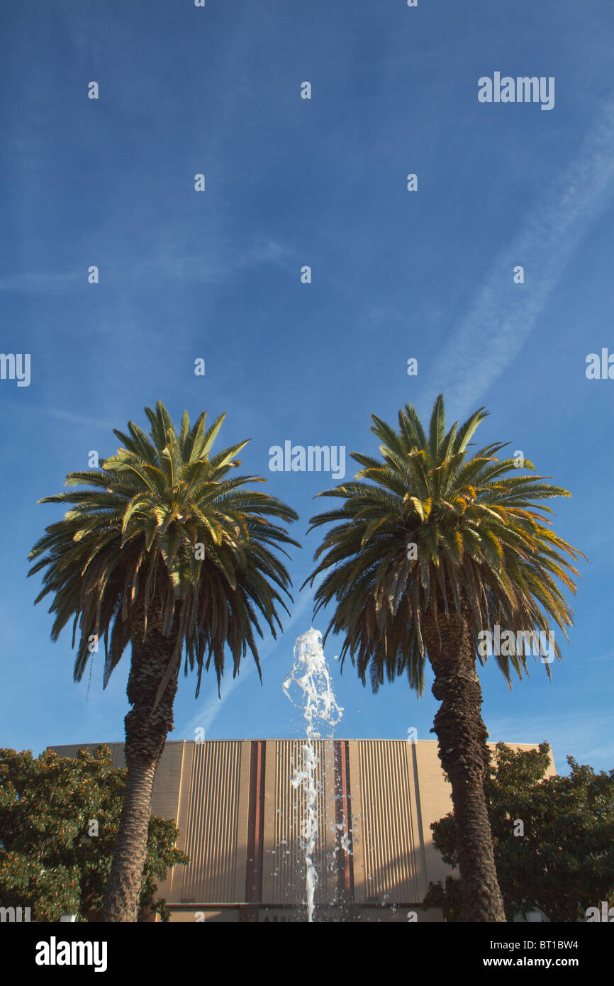 Fontana di acqua tra due palme con uno sfondo di un edificio e cielo blu Foto Stock