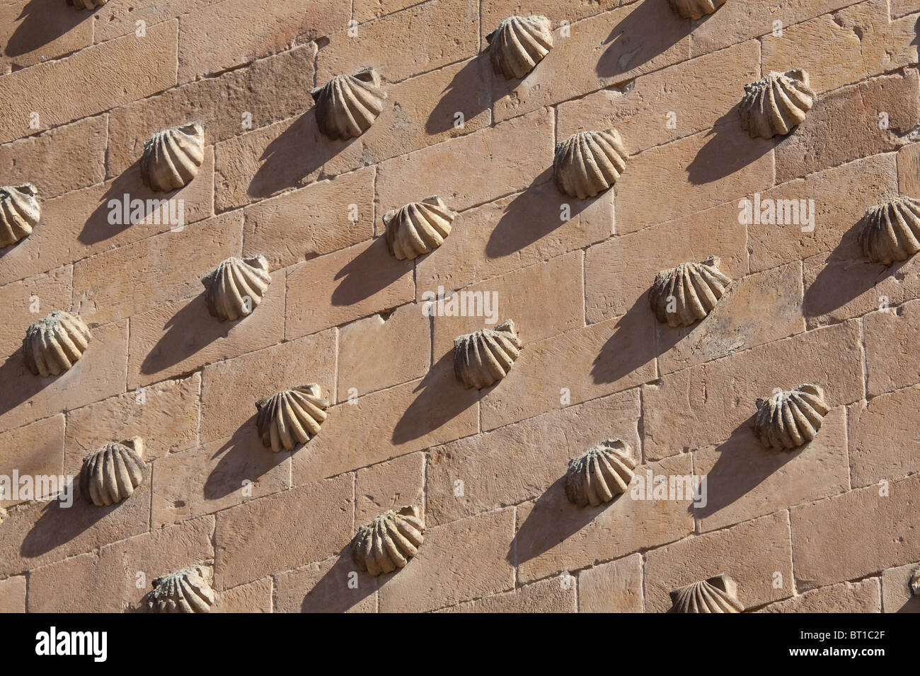 Casa dei gusci, Salamanca, Castilla y Leon, Spagna Foto Stock