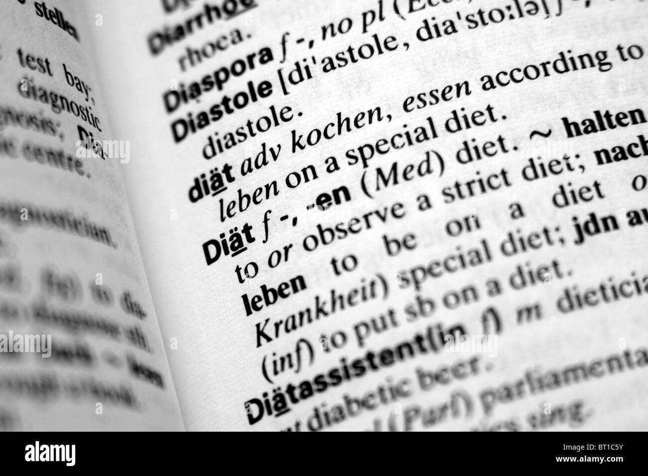 Un dizionario tedesco voce denominata dieta significa diät Foto Stock