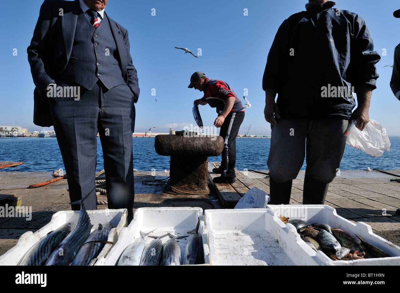 Gallipoli. L'Italia. Pesci freschi sbarcati e venduti direttamente dal molo. Foto Stock