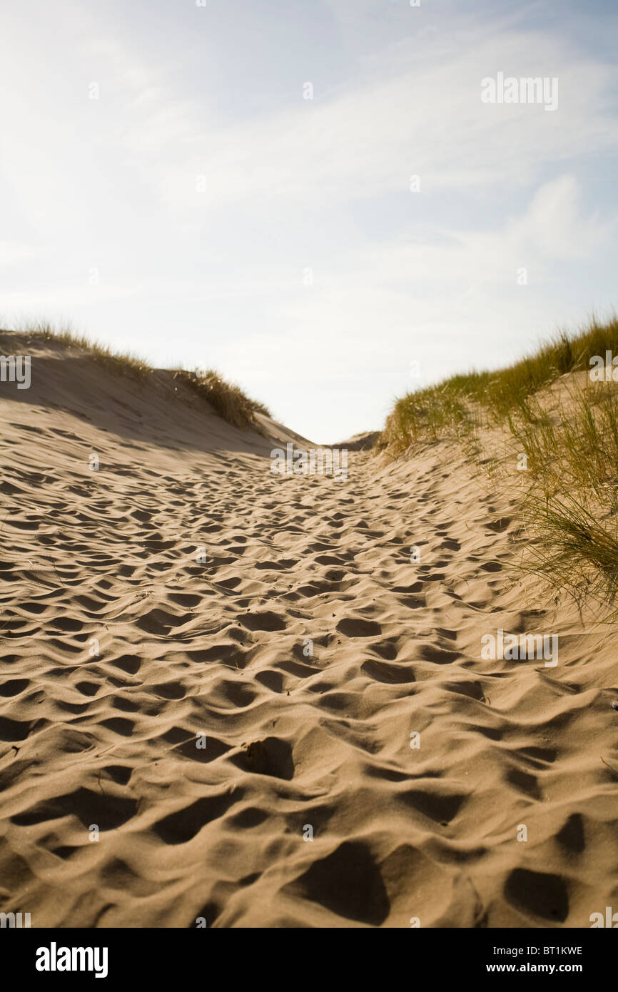 Una vista fino alla cima di una collina della Oxwich dune, Gower Coast, nel Galles del Sud. Foto Stock