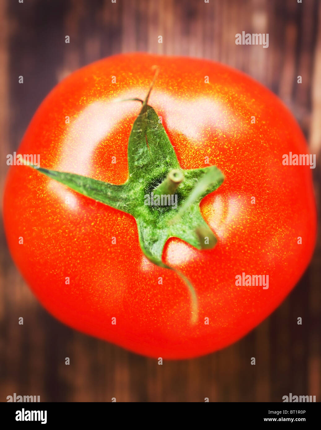 Primo piano su rosso pomodoro con DOF poco profondo Foto Stock