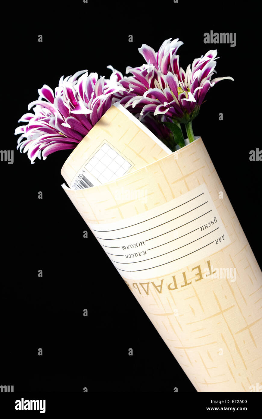 Bouquet di crisantemi è avvolto in un notebook Foto Stock