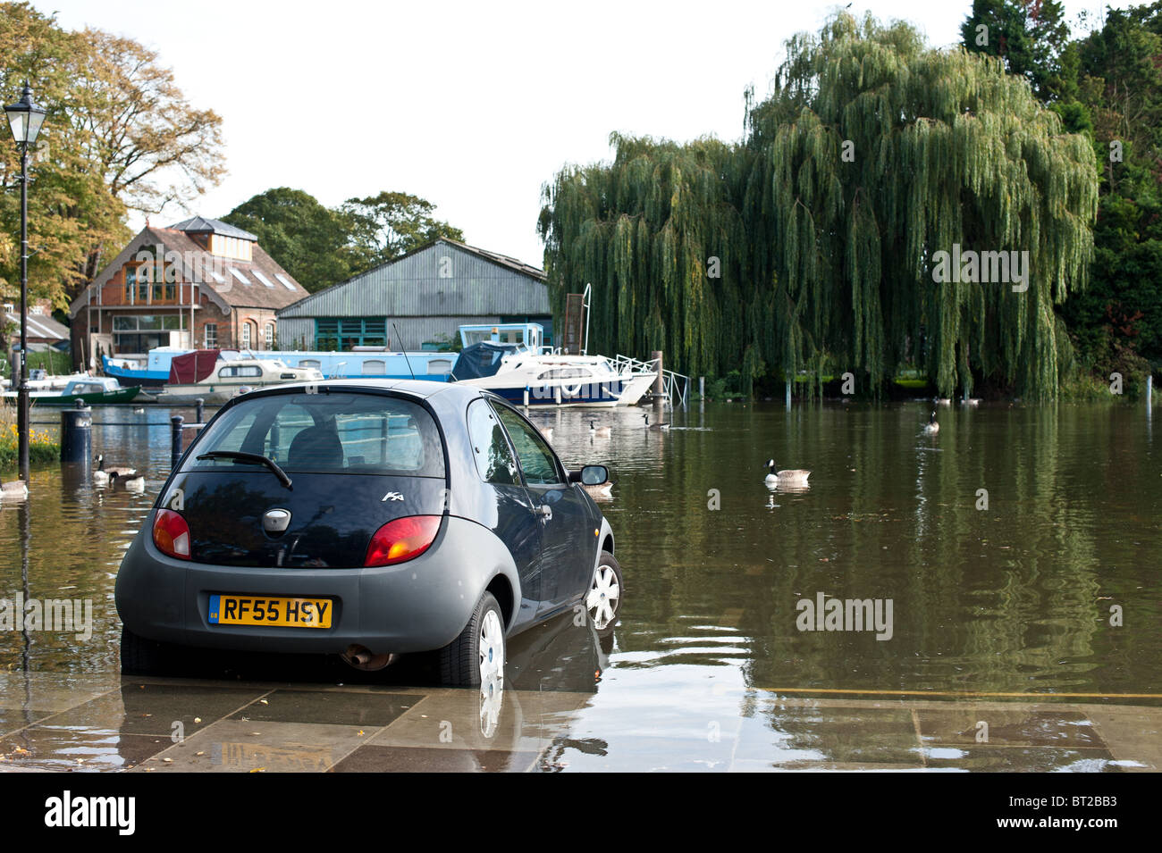 Ford Ka in acque di esondazione da parte del fiume Tamigi a Twickenham Foto Stock