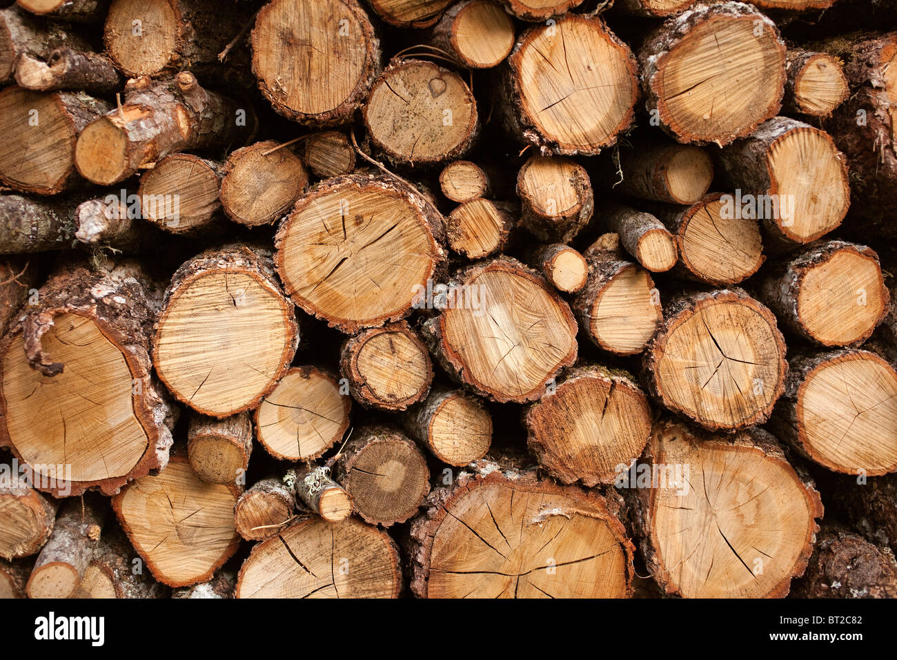 Troncos de madera Logs Foto Stock