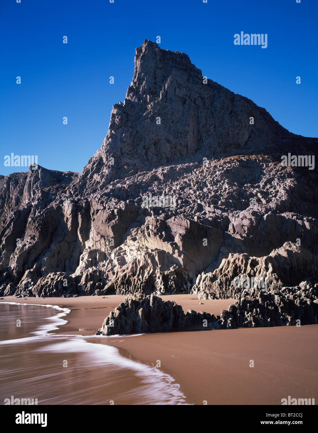 Carbonifero scogliere calcaree a Mewslade Bay nei pressi di Pitton sulla Penisola di Gower, Swansea, Galles del Sud. Foto Stock