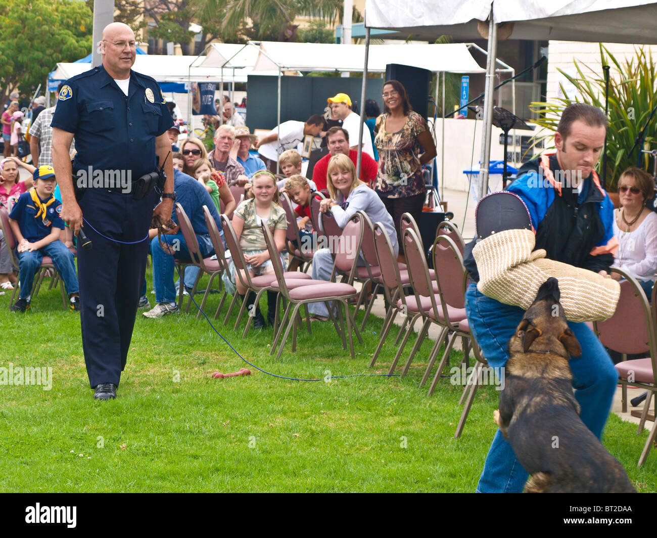 La polizia morsi di cane giù sul braccio imbottito di decoy (cattivo). Parte di K9 prove mostra a Redondo polizia Dept open house. Foto Stock