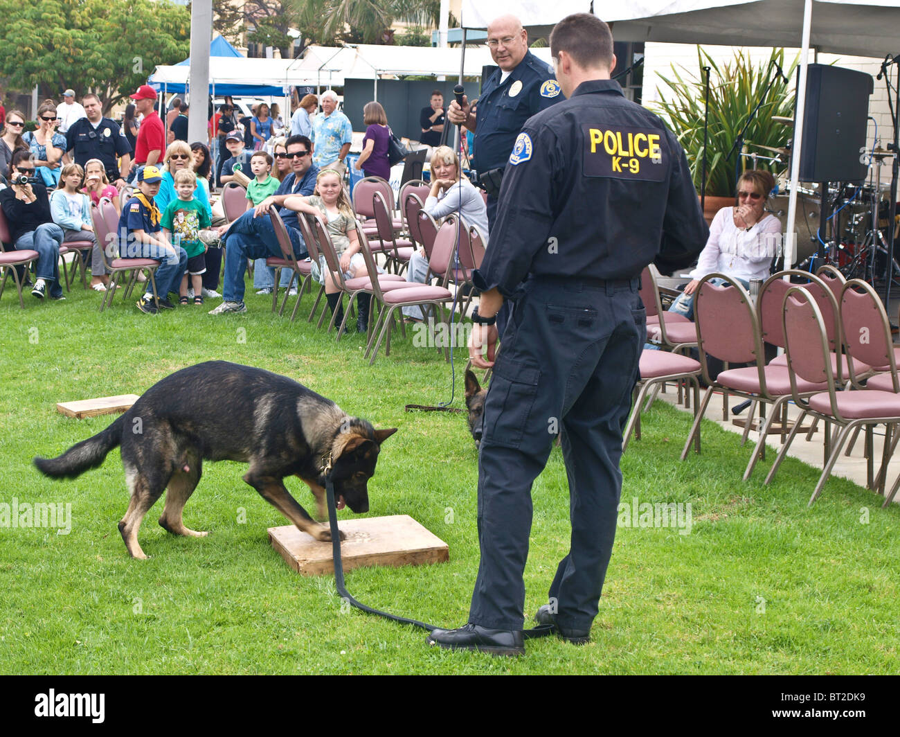German shepard la polizia cane trova farmaco stash durante K9 demo Foto Stock