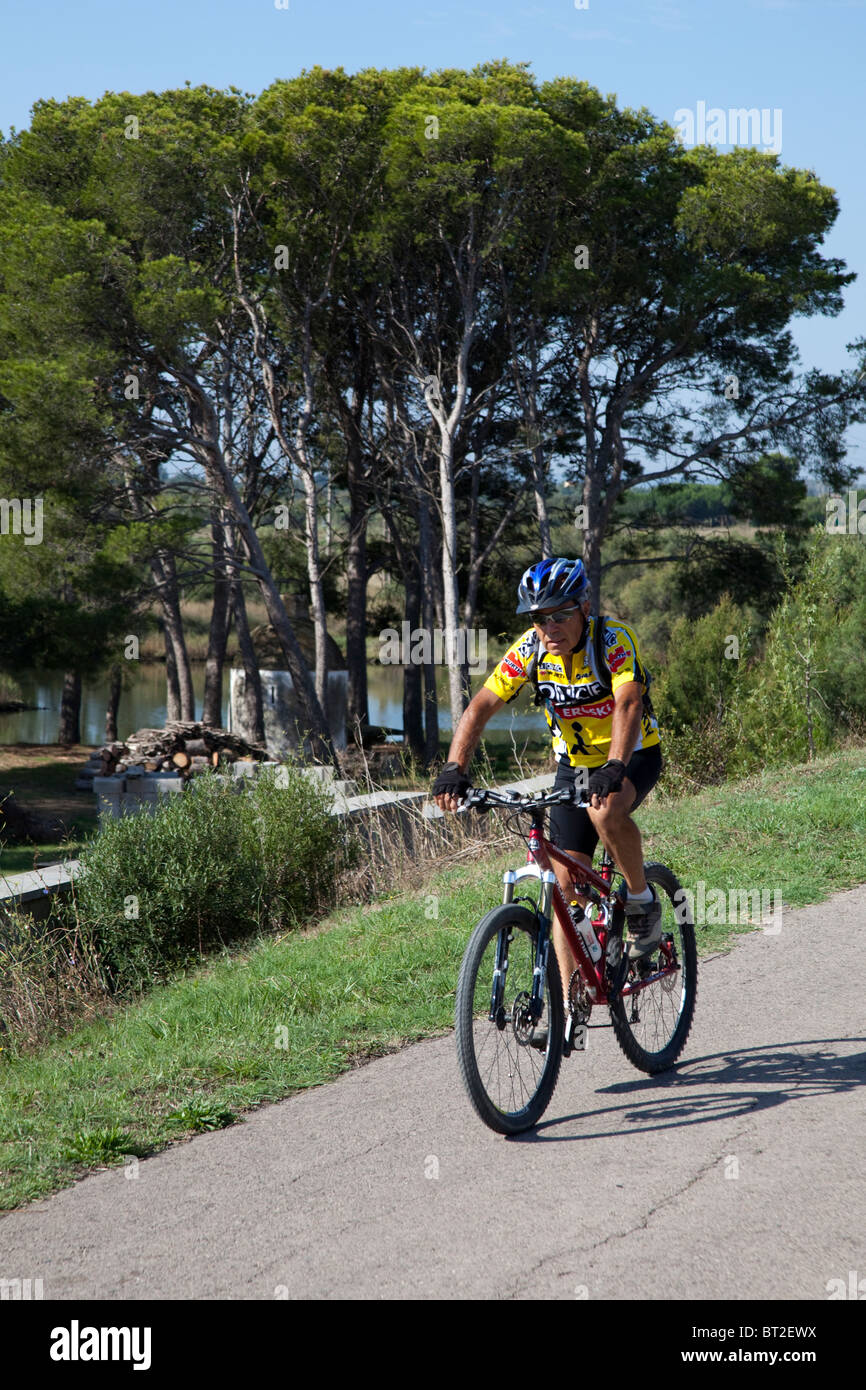 Uomo in bicicletta attraverso il Parc Natural dels Aiguamolls de l'Emporda Emporda Catalunya Spagna Foto Stock