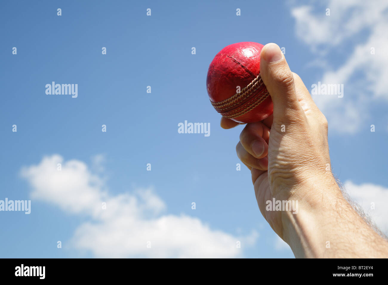 Cricket bowler con la palla in mano Foto Stock