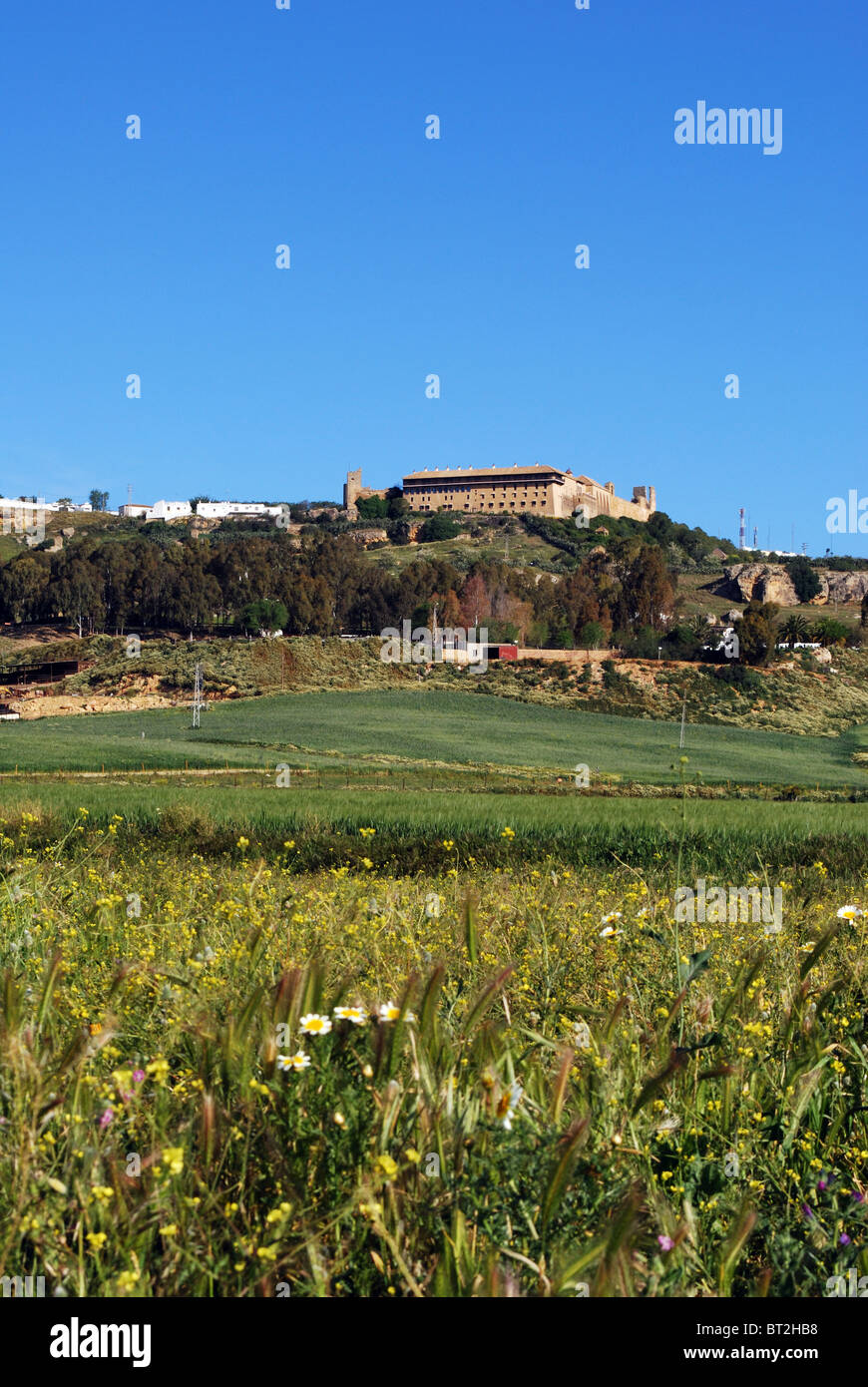 Il Parador (Alcazar del Rey Don Pedro), Carmona, provincia di Siviglia, in Andalusia, Spagna, Europa occidentale. Foto Stock