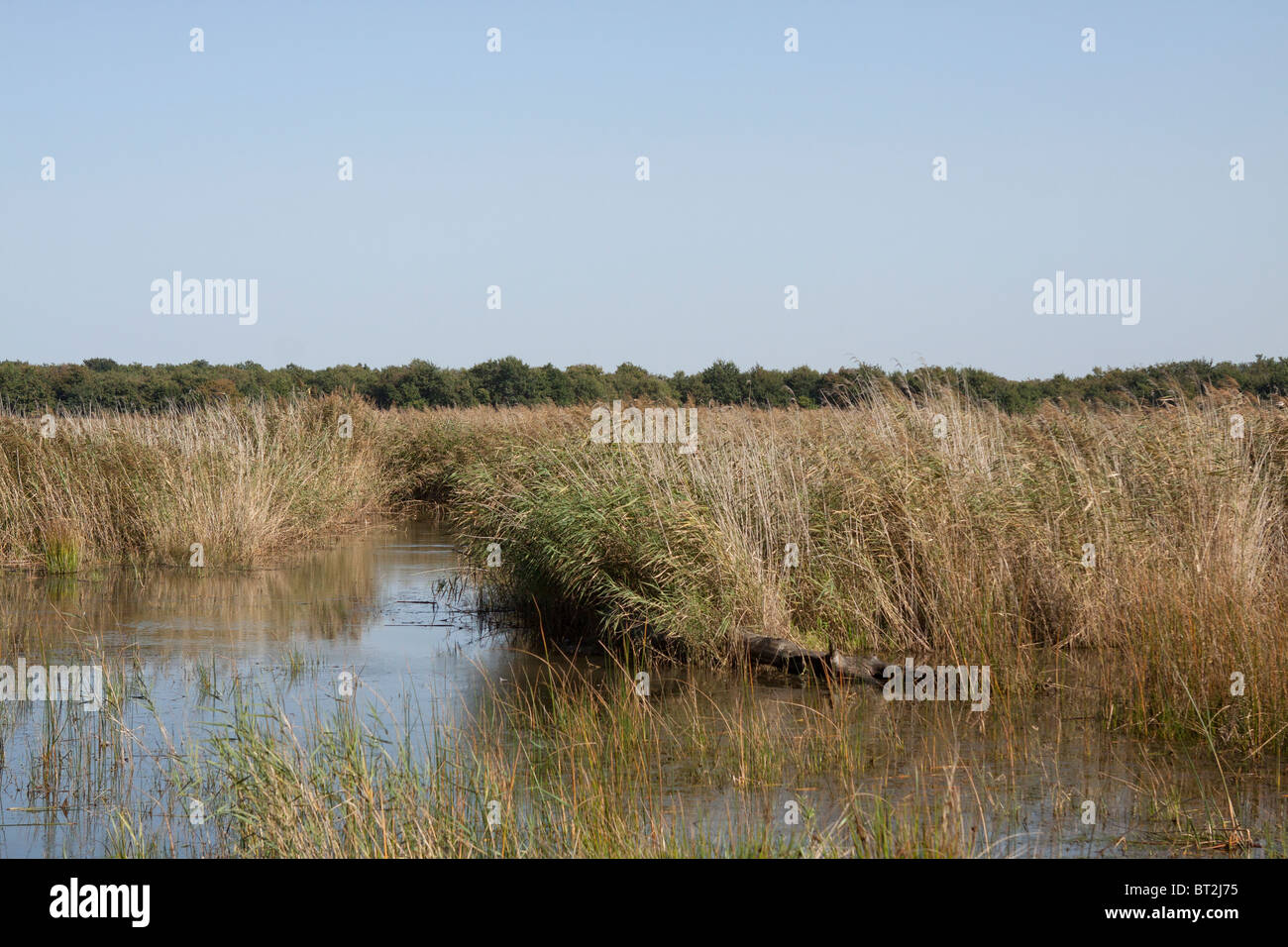 Campagna francese Foto Stock