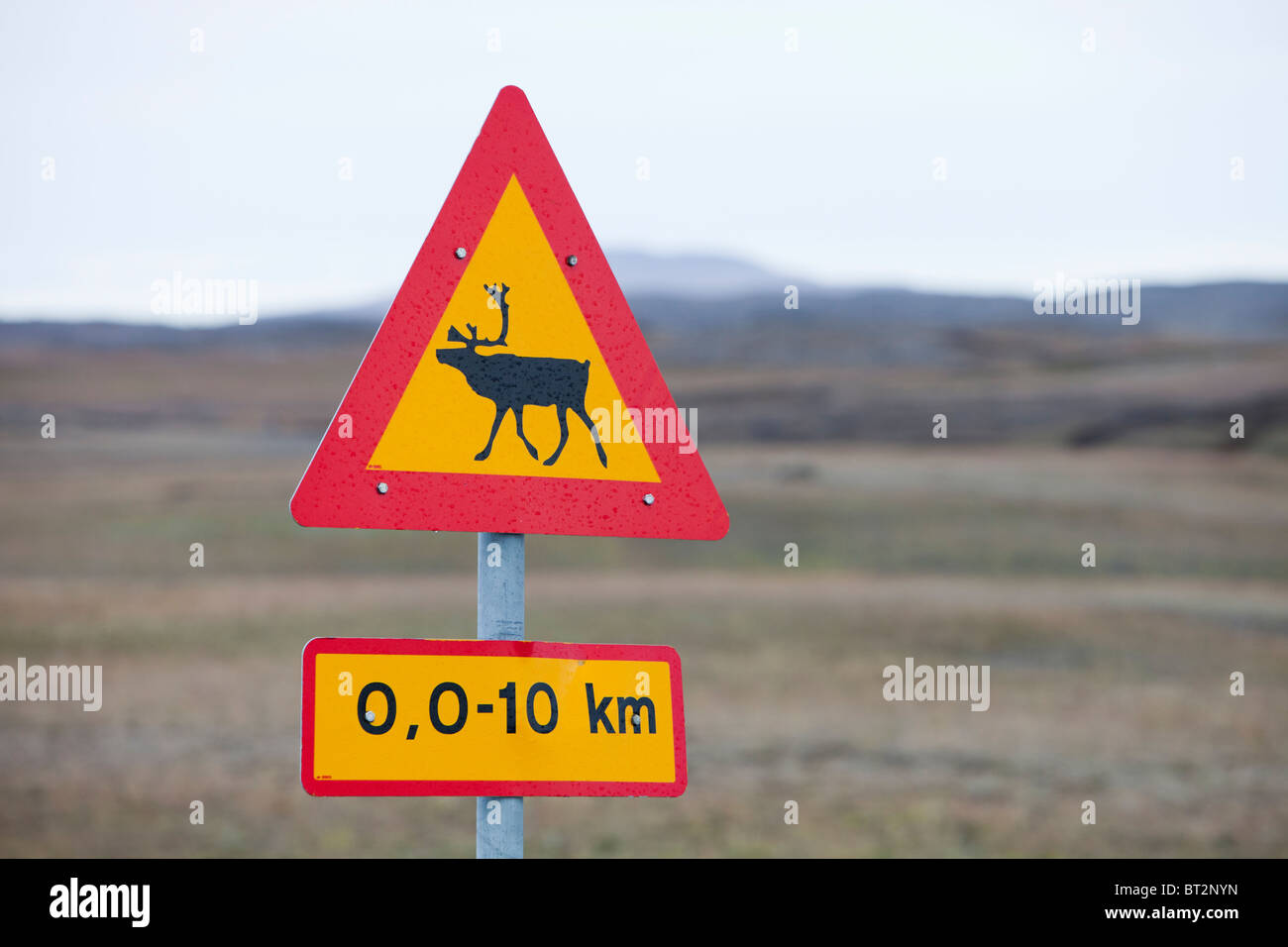 Un segnale di avvertimento per indicare le renne nel nord dell'Islanda. Foto Stock