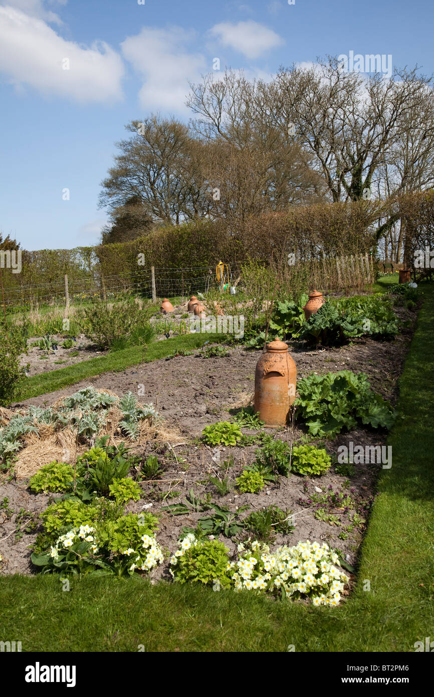 Country garden con terracotta pot di forzatura per rabarbaro Gilbert White's garden Selborne Hampshire England Regno Unito Foto Stock