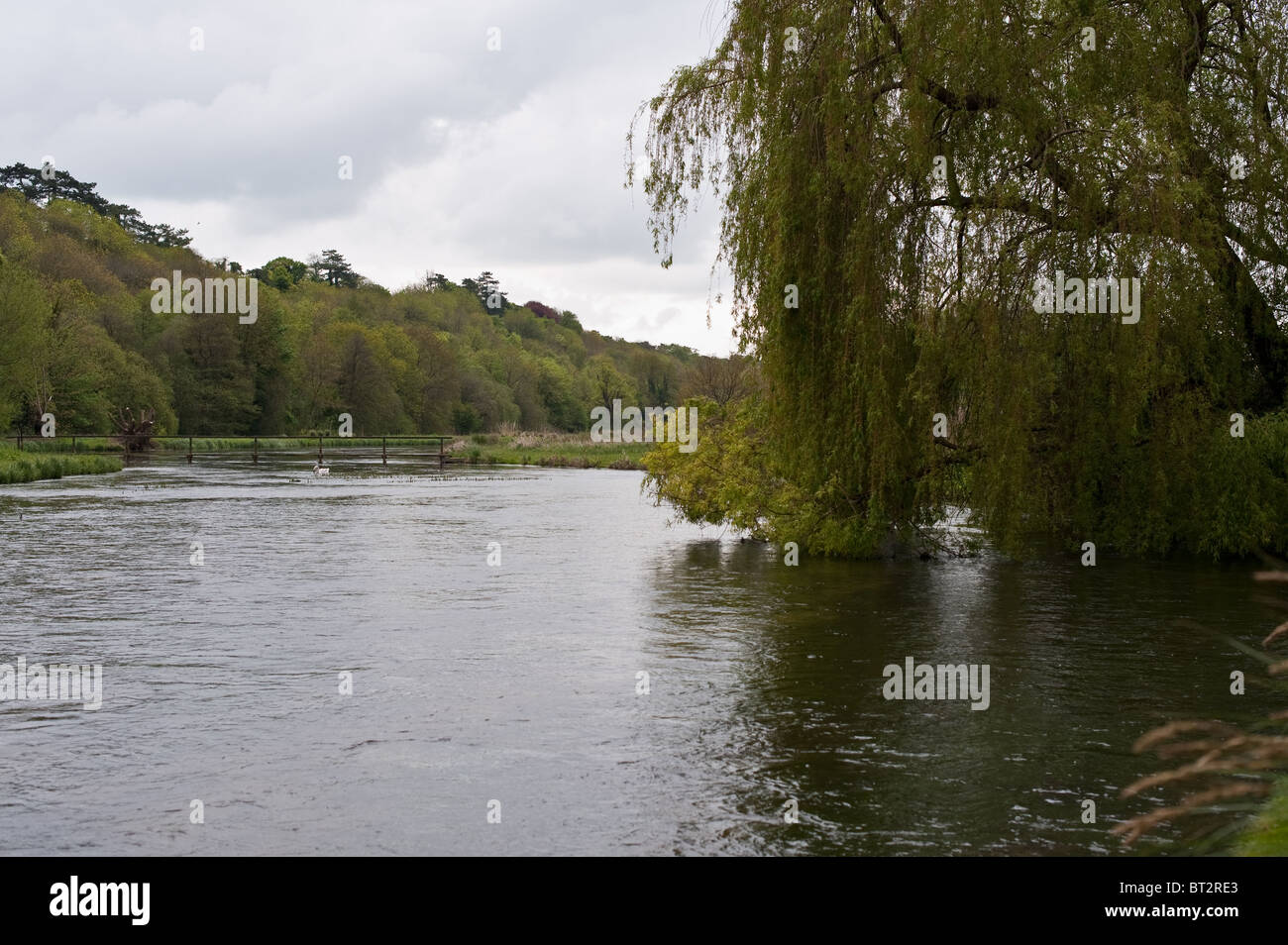 Il fiume Test in Hampshire. Il fiume Test è un flusso di gesso famosa per il suo ottimo gioco la pesca Foto Stock