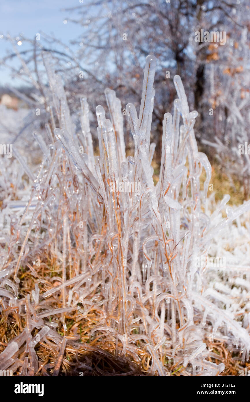 Duro inverno meteo in Illinois, come questa Pioggia gelata storm postumi, può causare enormi quantità di danni. Foto Stock