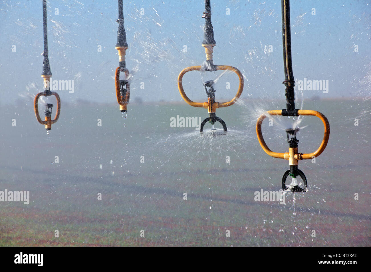 Sprinkler acqua di un perno centrale prodotto sistema di irrigazione Foto Stock