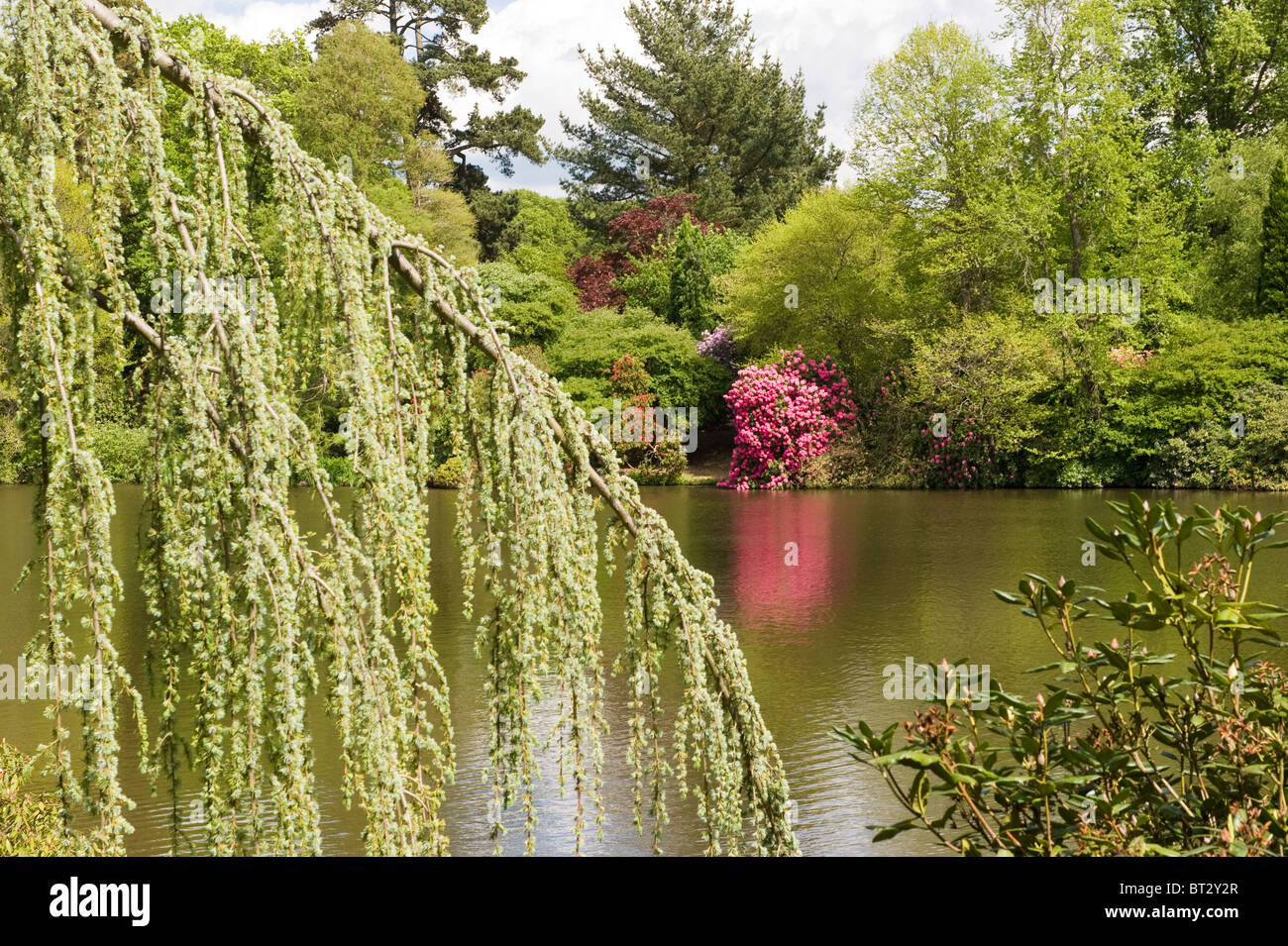 Sheffield Park Gardens in East Sussex Foto Stock