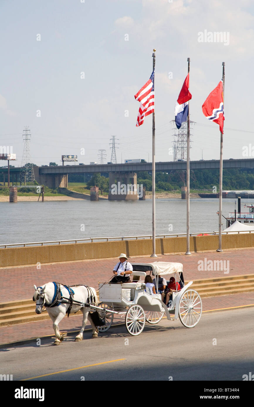 Carrozza a cavallo cavalcare con i turisti a San Louis Gateway Arch Foto Stock