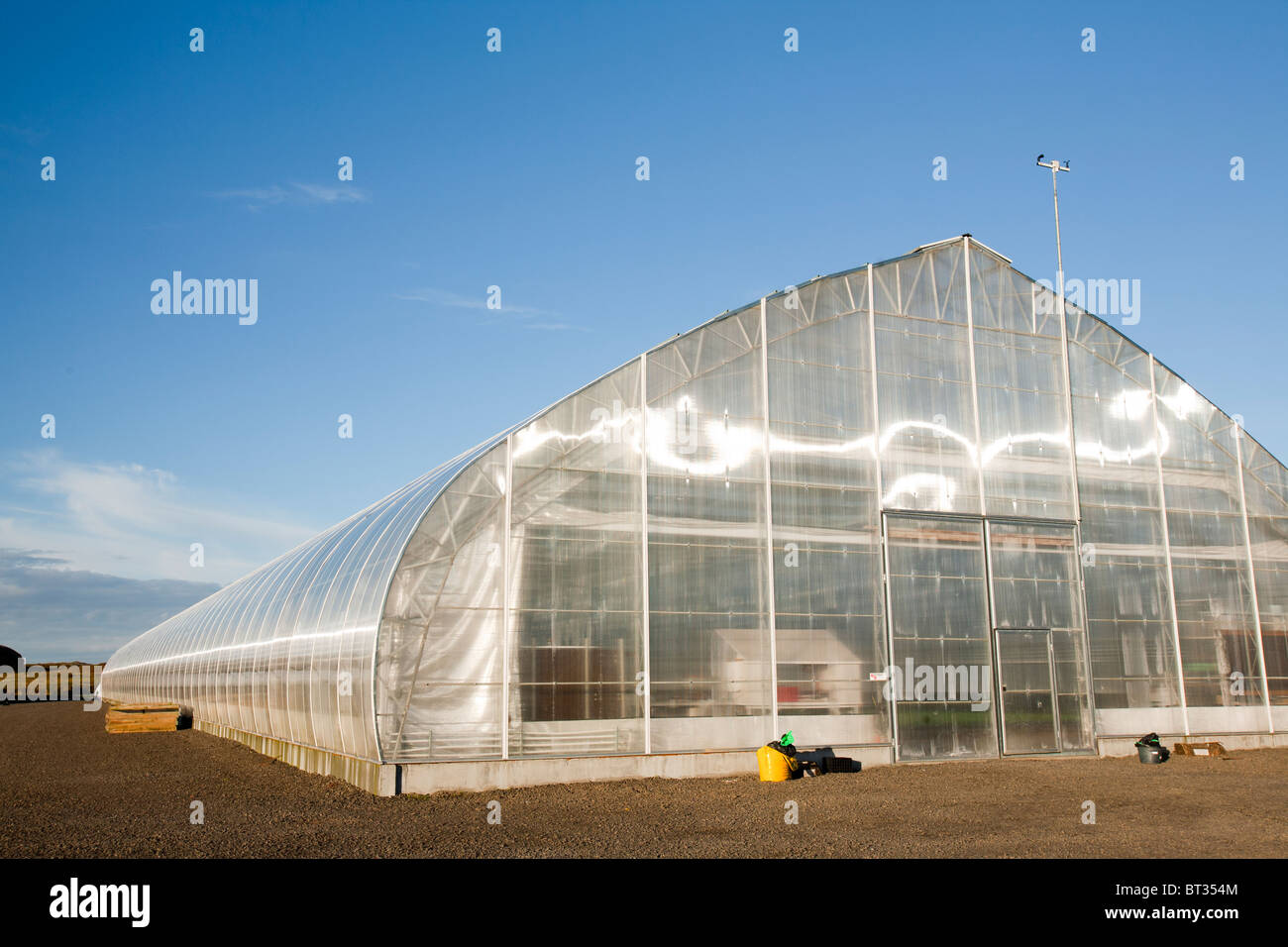 Una serra per la coltivazione di alberi in Egilsstadir, Islanda, riscaldate con energia geotermica. Foto Stock