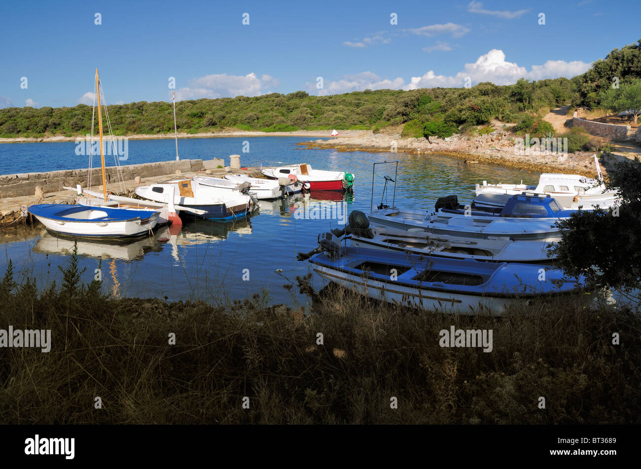 Piccolo porto con ormeggiate barche da pesca, Isola Silba, Croazia Foto Stock