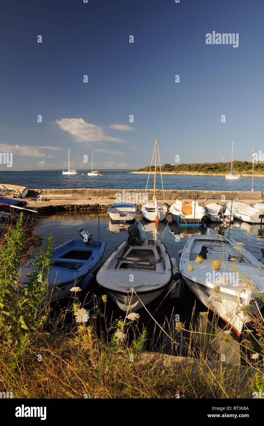 Piccolo porto con ormeggiate barche da pesca, Isola Silba, Croazia Foto Stock