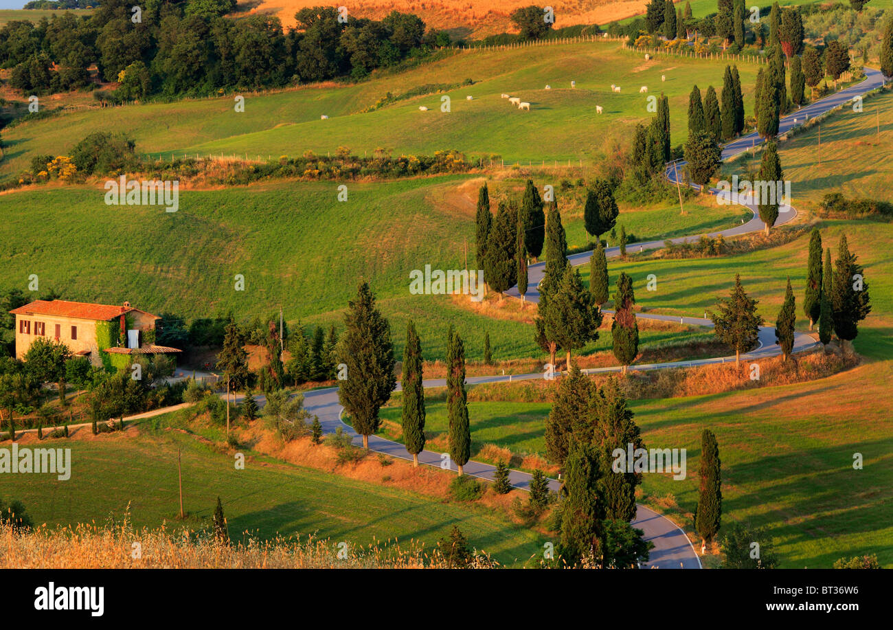 Strada rurale vicino alla città toscana di Monticchiello Foto Stock