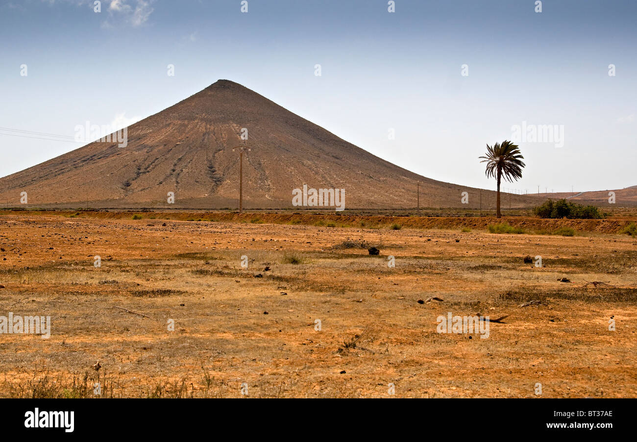 Vulcano e palma a Fuerteventura Foto Stock