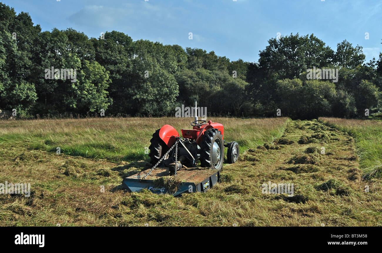 Un 1956 MF35 trattore ancora lavorando nel Sussex Foto Stock