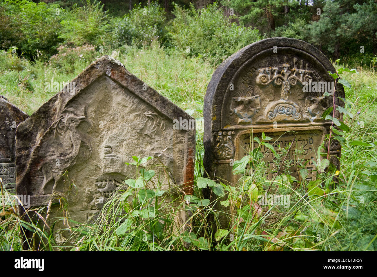 Il vecchio cimitero ebraico Sambor in Ucraina occidentale Foto Stock