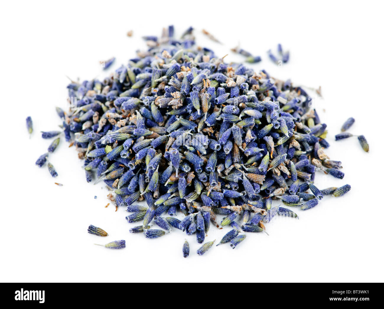 Pila di medicinali alle erbe Lavanda fiori su sfondo bianco Foto Stock