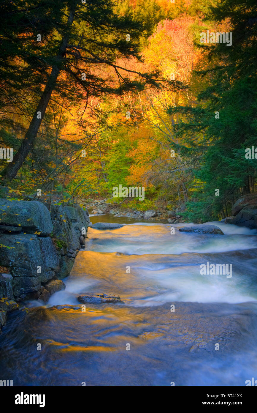 Il locatario Creek Falls, Adirondacks, Hamilton County, nello Stato di New York Foto Stock