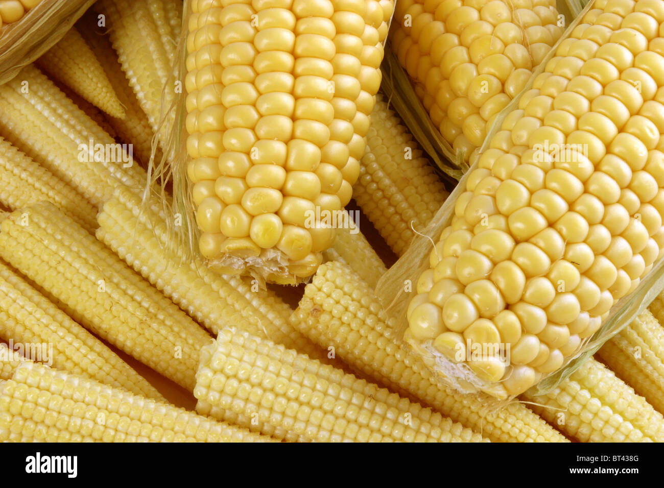 sweetcoorn Foto Stock