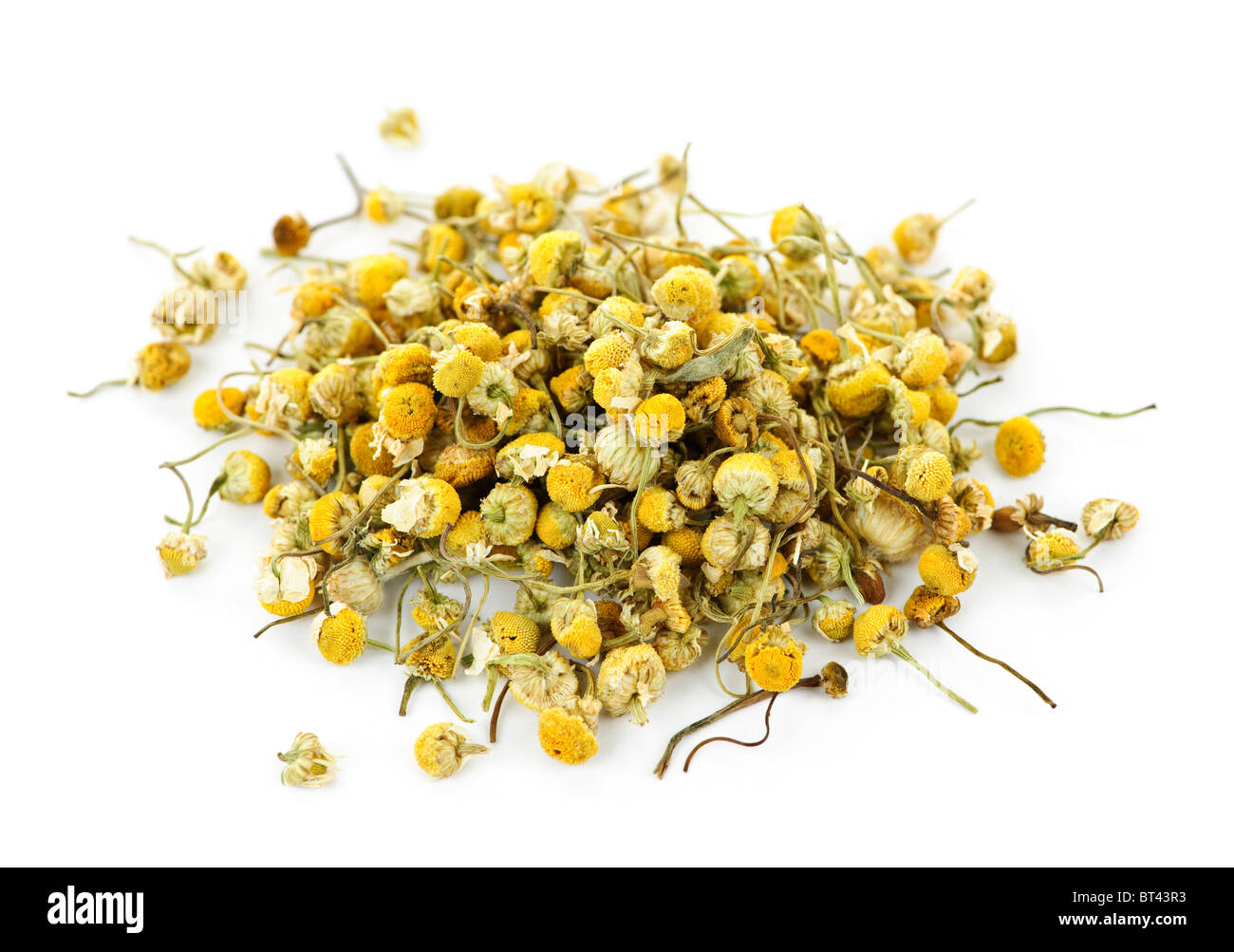 Pila di medicinali di giallo Erba camomilla gemme su sfondo bianco Foto Stock