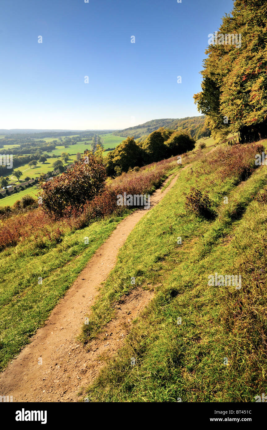 La North Downs vicino a Dorking , Surrey Foto Stock