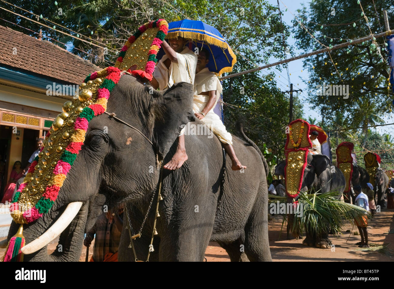 Gli elefanti al festival Varkala Kerala India Foto Stock