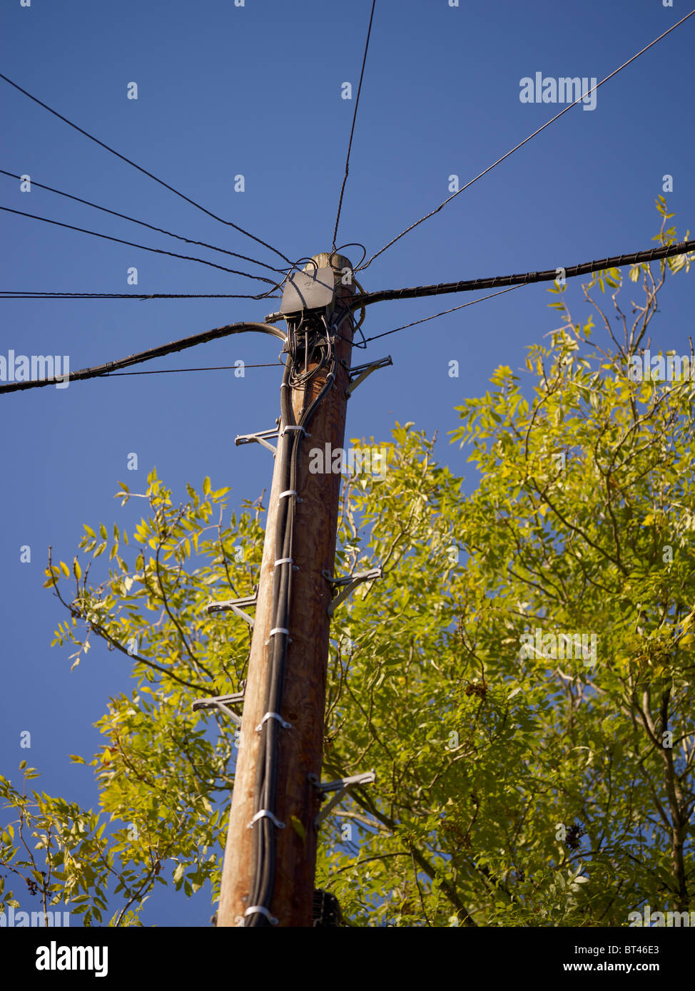 British Telecom telegrafo polo usato per il sovraccarico delle linee telefoniche. Foto Stock