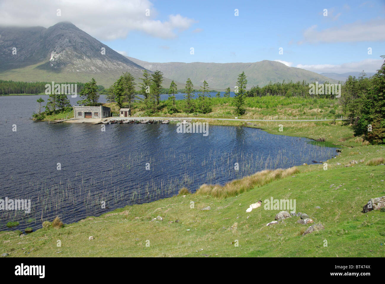 Paesaggio in Irlanda Foto Stock