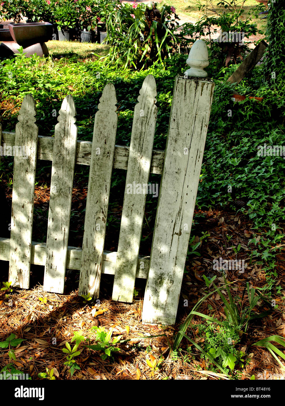 Bosco giardino recinto fencepost white picket arbusti rural Foto Stock