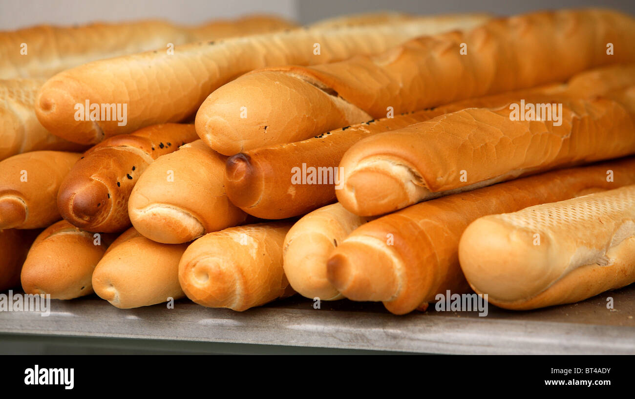 Pane appena sfornato per la vendita al Souk Tunisi Tunisia Foto Stock