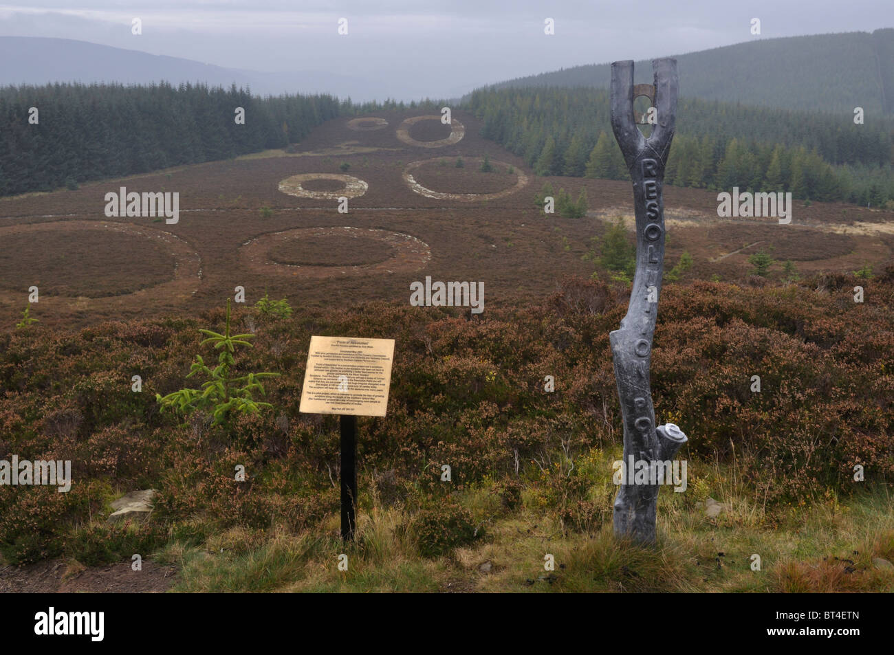 Punto di risoluzione grafica, Minch Moor, altipiani del Sud, Scozia Foto Stock